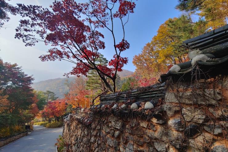 화담숲, ⓒ광주시청 공식블로그