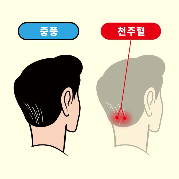 흰머리 부위로 알아보는 건강 적신호