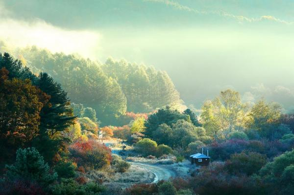 비밀의 정원, ⓒ인제군청 공식블로그