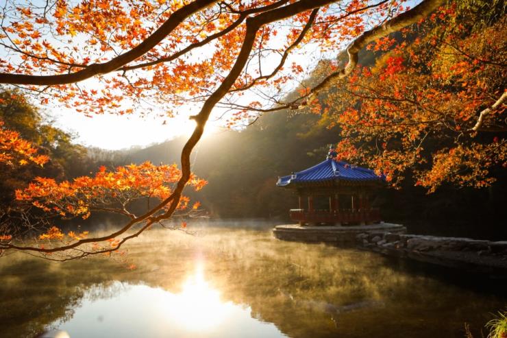 내장산, ⓒ정읍군청 공식블로그